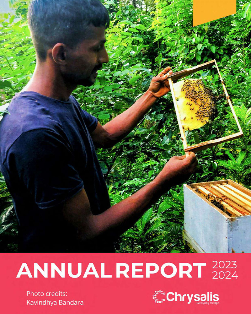 annual report thumbnail