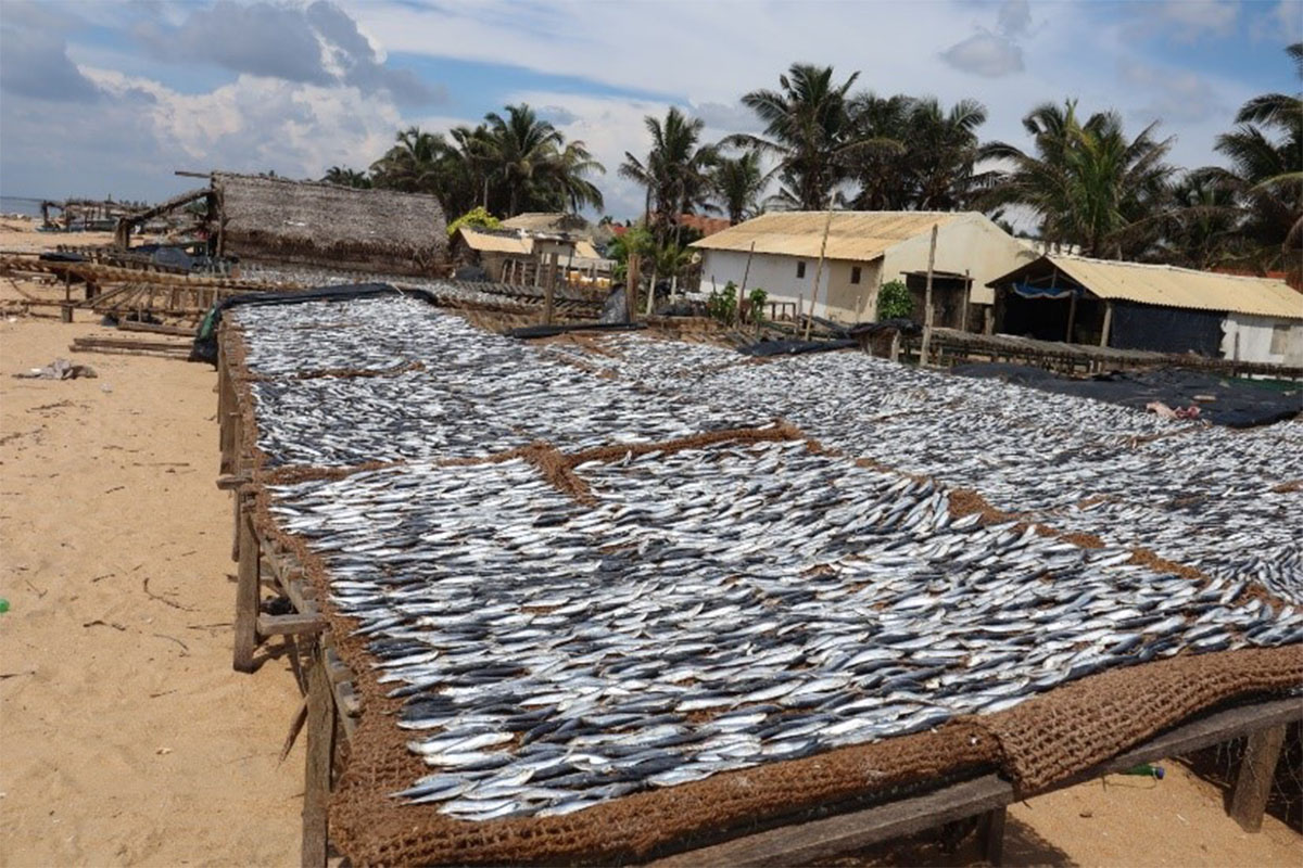 case study thumbnail