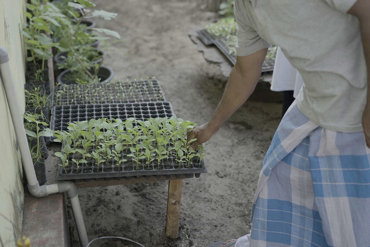 case study thumbnail