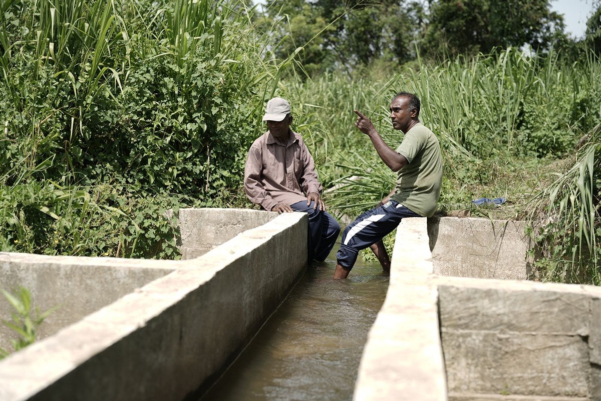 case study thumbnail