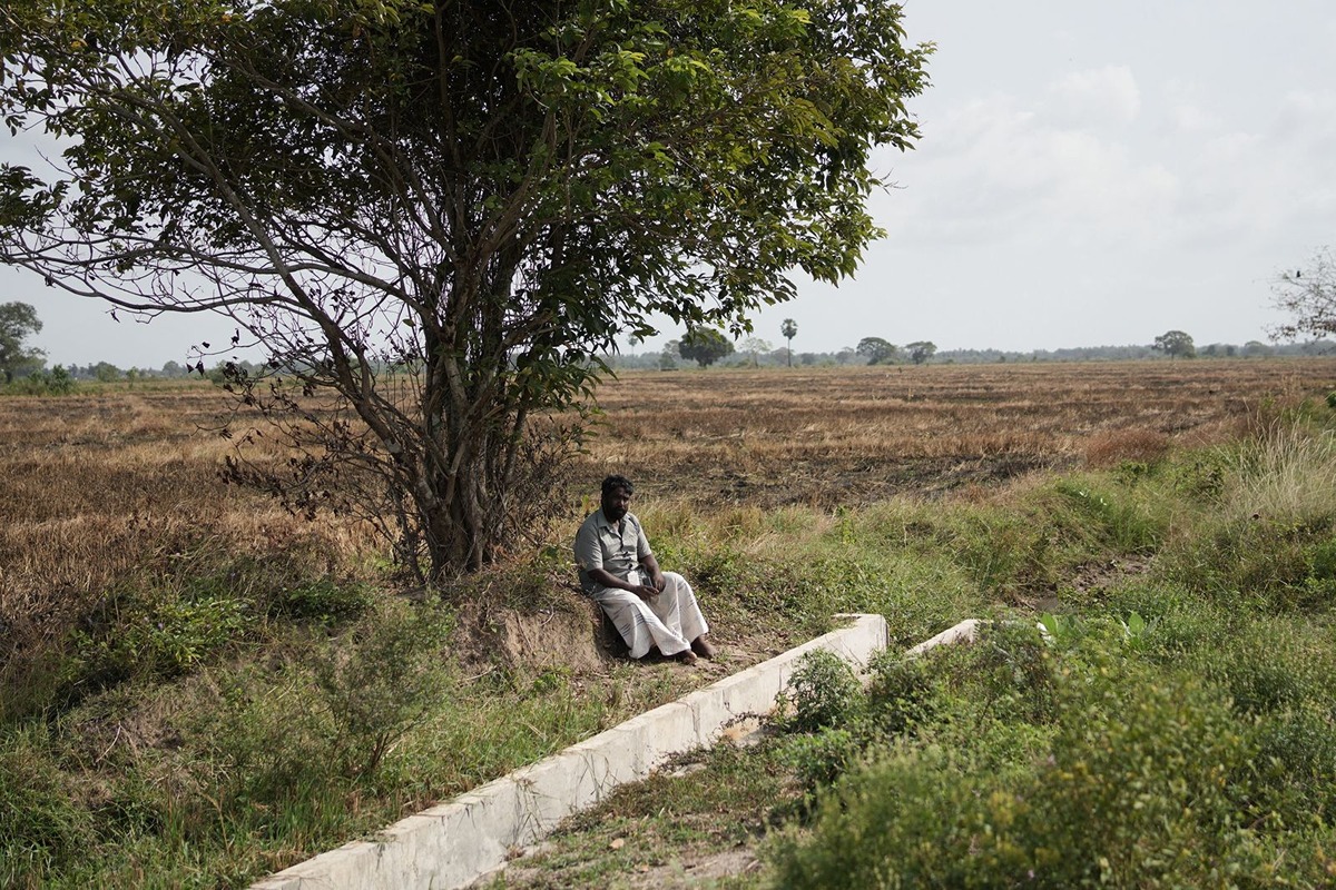 case study thumbnail