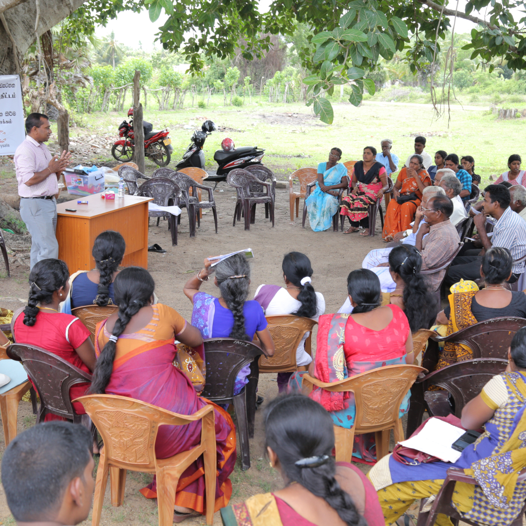 quality section 6 image