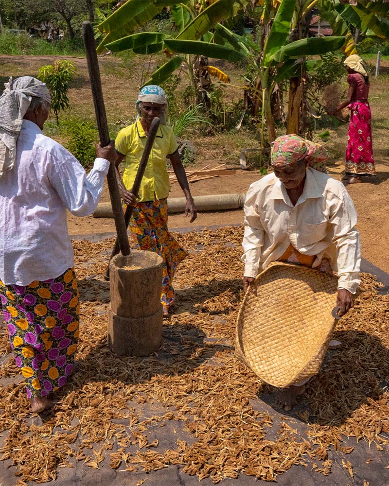 project implementation image