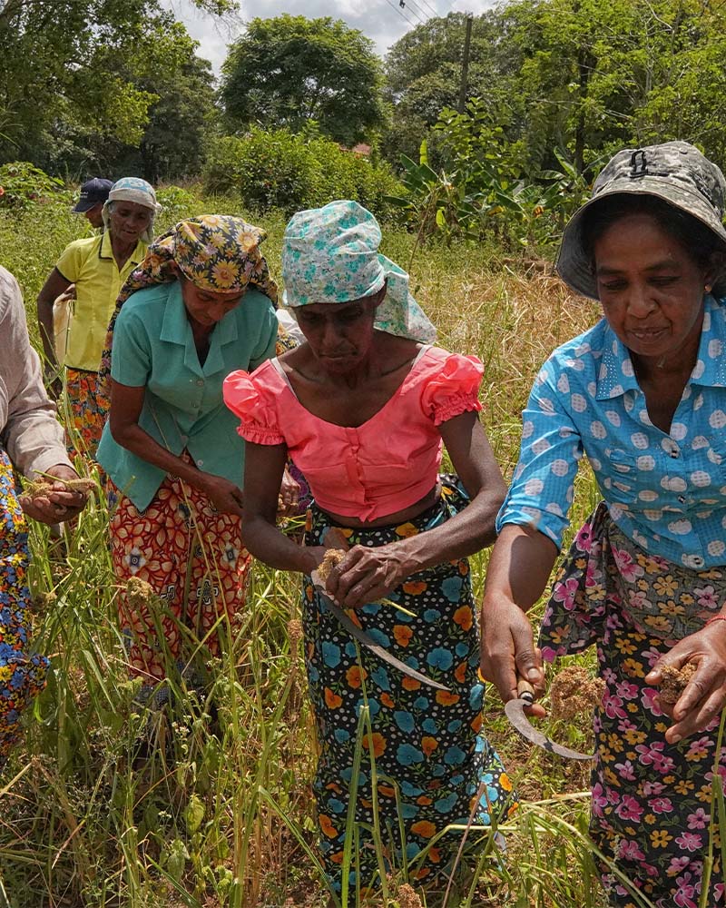 project implementation image