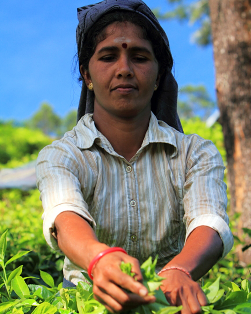 project implementation image