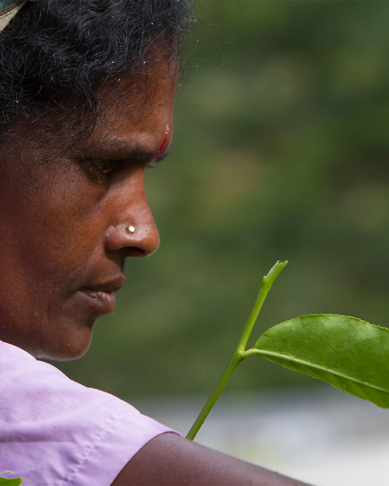 project implementation image