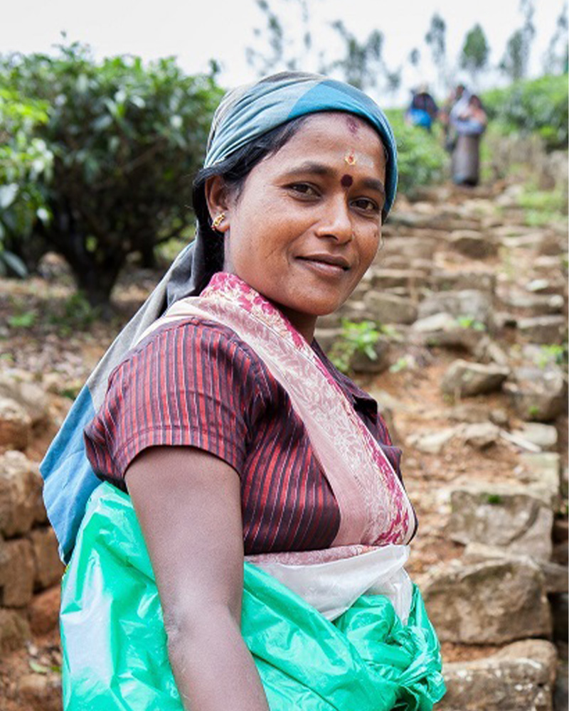 project implementation image