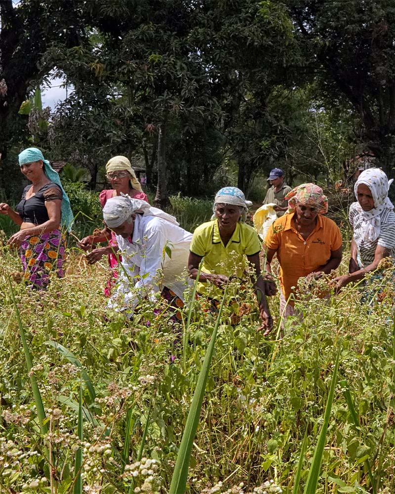 project implementation image