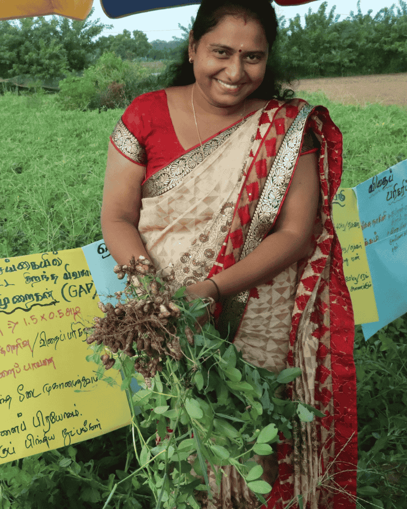 project implementation image