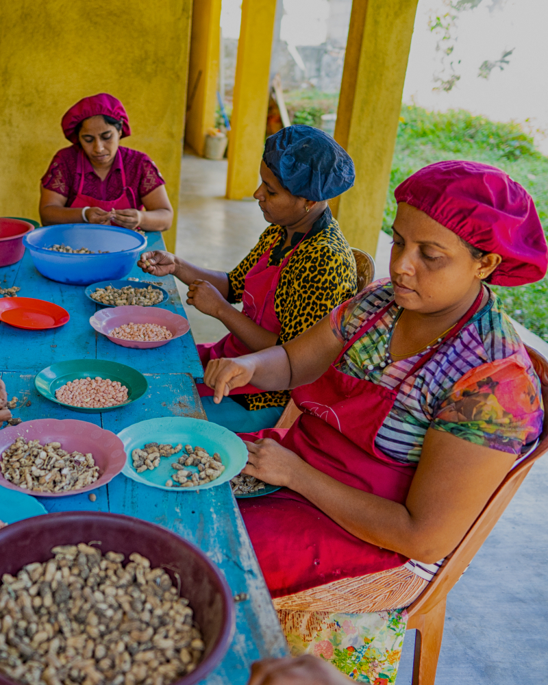 business solution image