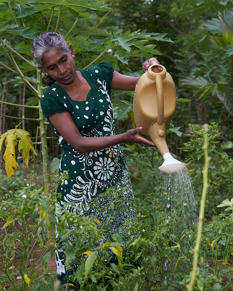 business solution image