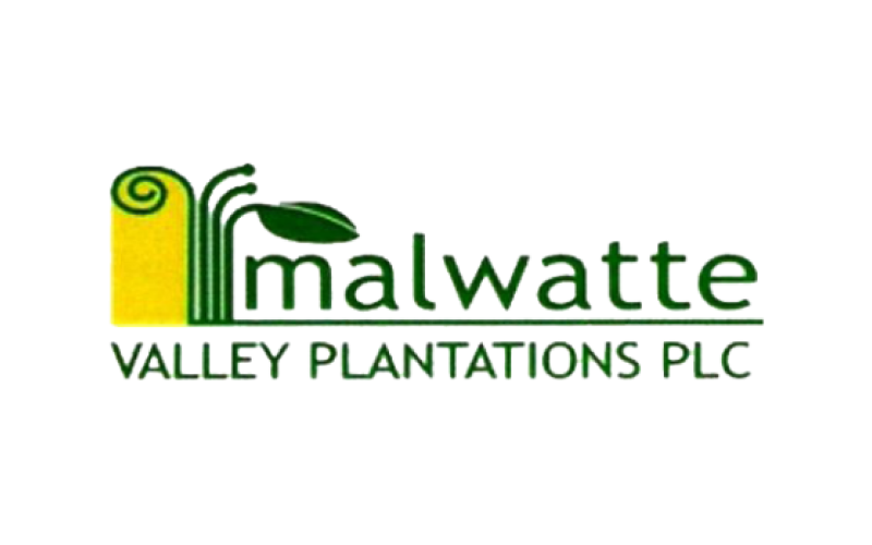 Malwatte Valley Plantations Plc