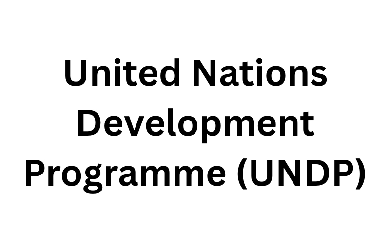UNDP